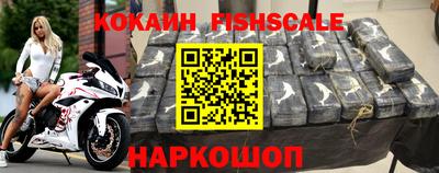 гашик Будённовск