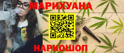 гашик Будённовск
