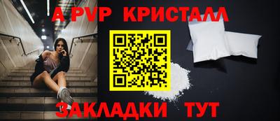 гашик Будённовск