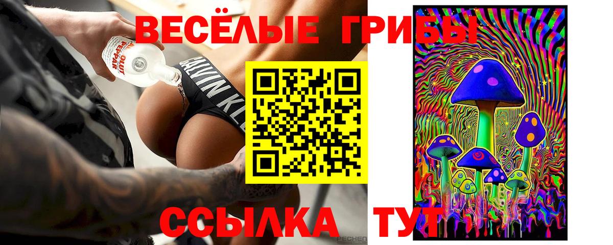 Галлюциногенные грибы прущие грибы  Псилоцибиновые грибы MAGIC MUSHROOMS  Краснотурьинск  Вход с VPN 